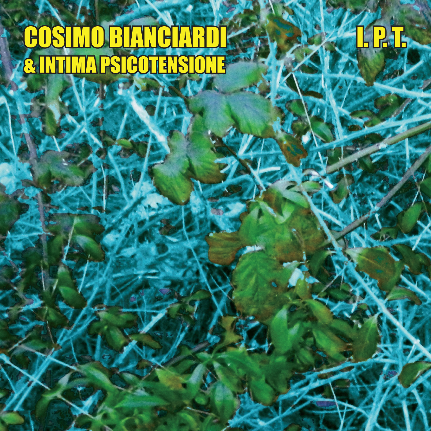 Cosimo Bianciardi Intima Psico Tensione